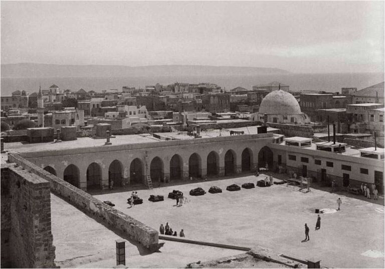 هل بدأت الرواية الفلسطينية تكسب معركة الوعي العالمي؟ ولماذا؟
